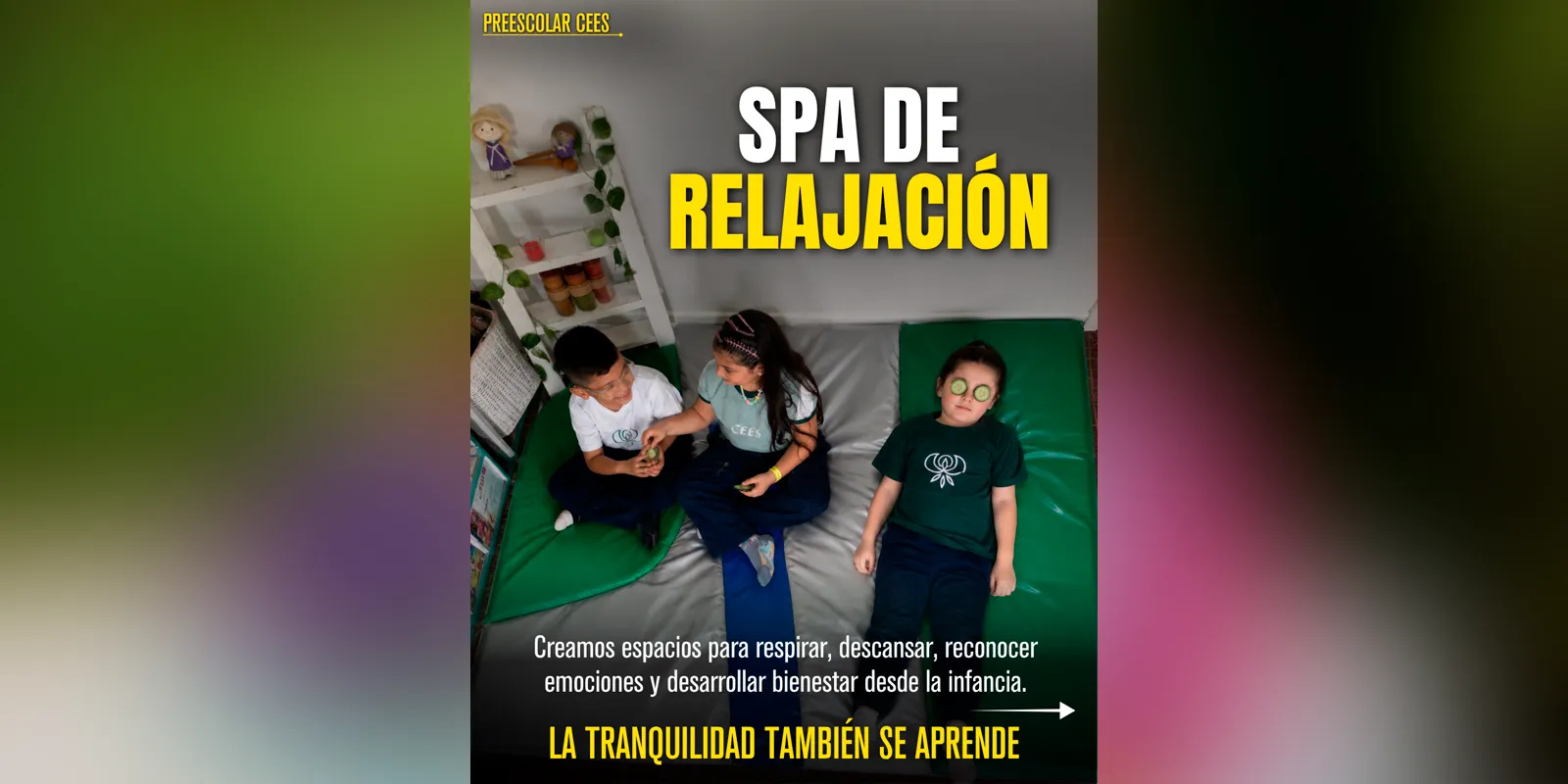 Galería - 5