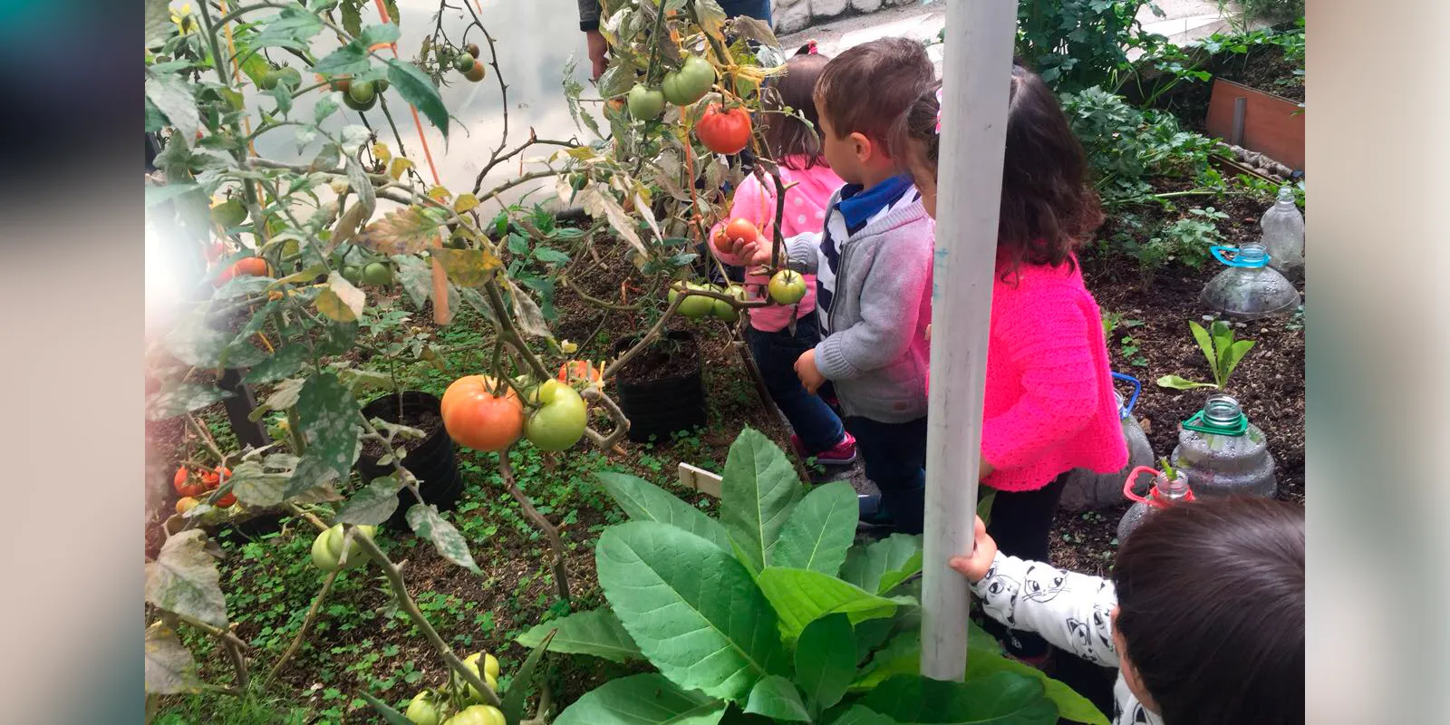 Cosmos Montessori Jardín Infantil (Bogotá) - instalaciones - 13