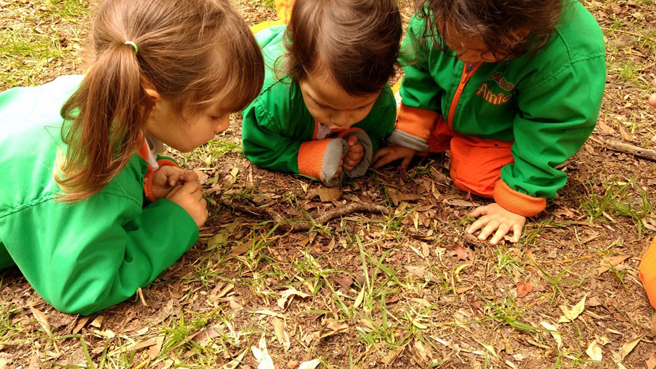Amici Jardín Infantil (Bogotá)